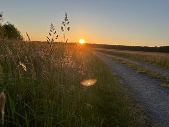 6 Tage Urlaub in Hellwege, im Herzen Niedersachsens !