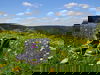 Happy Sauerland Auszeit - im Einklang mit der Natur