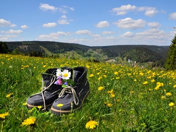 Happy Sauerland Auszeit - im Einklang mit der Natur