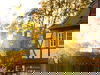 5 Tage Herbst in der Südpfalz