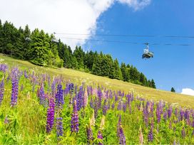 3 Tage Erholung in der Natur des Erzgebirges