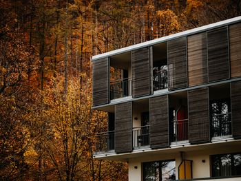 Familienspezial zu jeder Jahreszeit! - 4 Tage im Harz