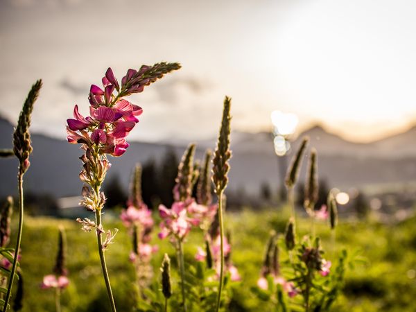 4 Tage Auszeit im wunderschönen Klosters-Serneus, Graubünden inkl. Frühstück