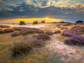 Niederlande: 3 Tage-Angebot Hansestadt Harderwijk auf der Veluwe