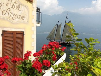 Genuss am Gardasee: Bier und Erholung