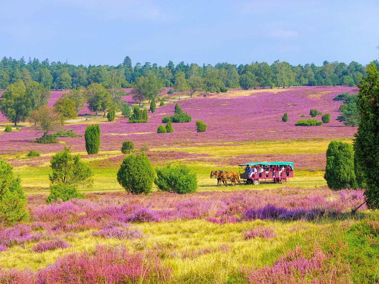 Weihnachten / Lüneburger Heide – 5 Tage purer Genuss!