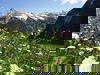 7 Tage Schweizer Alpen erleben
