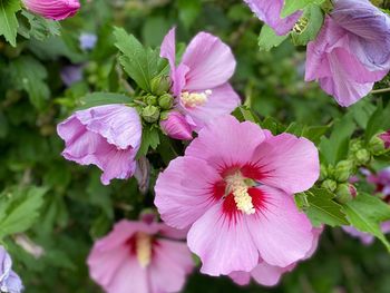 Pfingsten an der Müritz