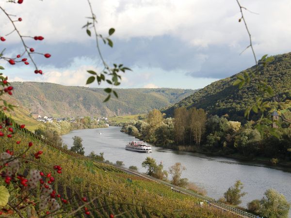 3 Tage Action & Aussicht: Schifffahrt Cochem & Geierlay in Mörsdorf (Hunsrück), Rheinland-Pfalz inkl. Halbpension