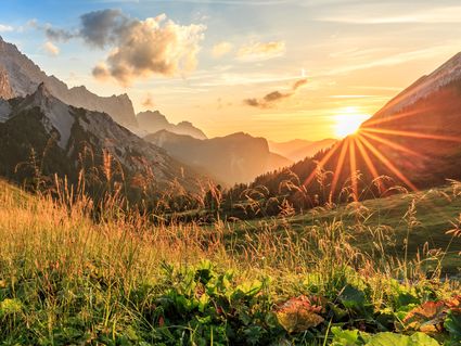 Sommer, Sonne, Alpenluft in ruhiger Lage - 8 Tage