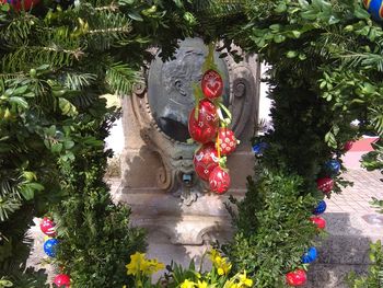 4 Tage Osterbrunnen der Fränkische Schweiz erkunden