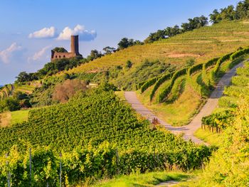2 Tage Erholung & Auszeit im Aqua Aurelia Suitenhotel