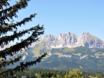 Bild 52 von 61
