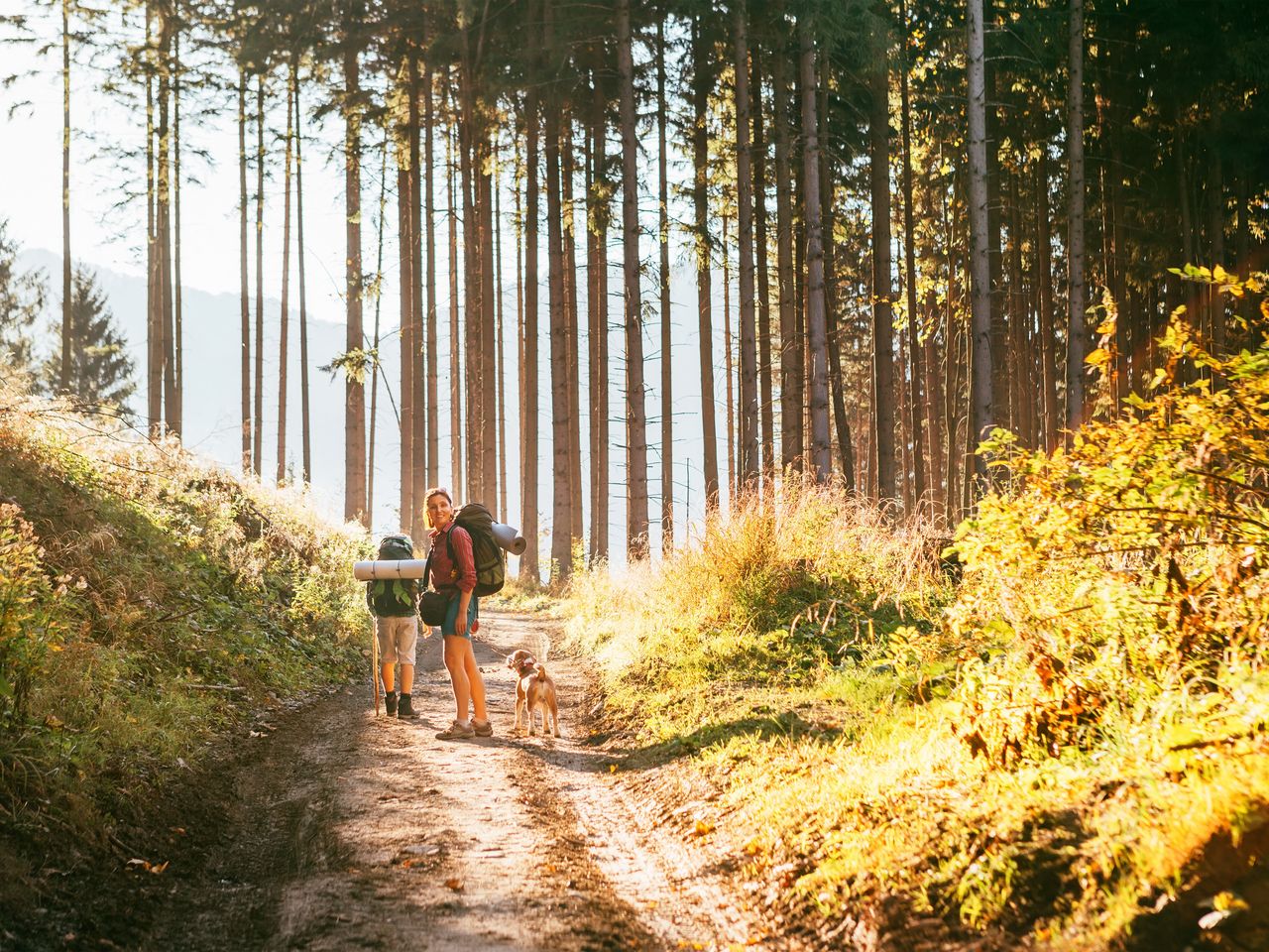 Tierisch Pfalz - Urlaub mit dem Hund HP | 3 Tage