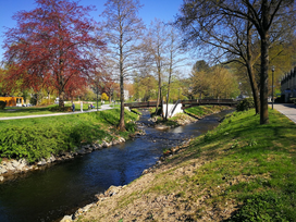6 Tage Kurzurlaub im Hochsauerland