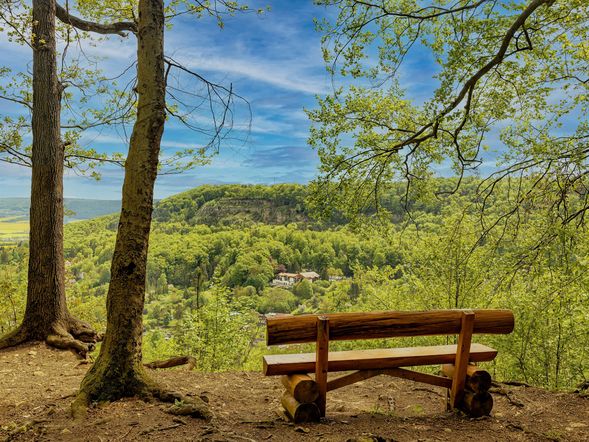 5 Tage Harz-Schnäppchen inkl. Halbpension plus