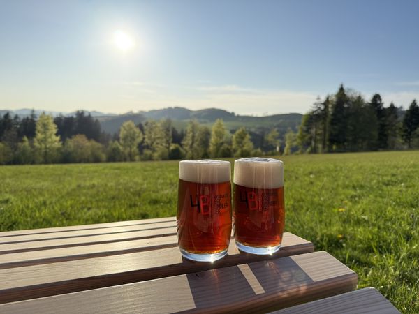 Berg Vital Tage in Schmallenberg, Nordrhein-Westfalen inkl. Halbpension