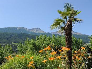 8 Tage im Verwöhnhotel in Südtirol mit HP