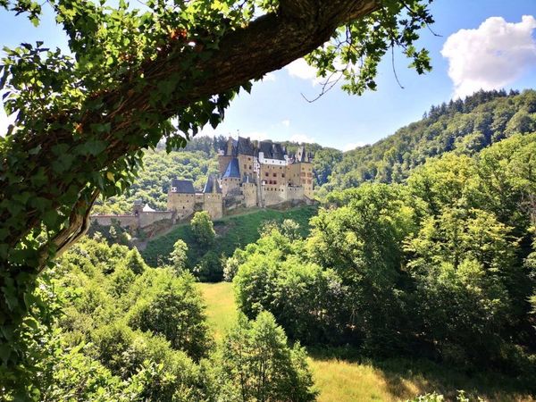 6 Tage Moselwandern – Über Stock & Stein in Löf, Rheinland-Pfalz inkl. Halbpension Plus