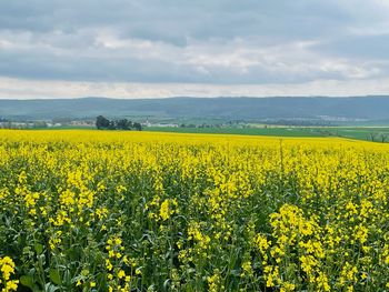 Jahresausklang im Harz / 6 Tage