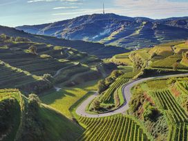 2 Tage Genussreise in die Europastadt Breisach m. HP