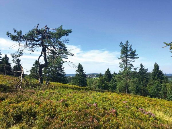 4 Tage nahe des Rothaargebirges im Sauerland in Winterberg, Nordrhein-Westfalen inkl. Frühstück