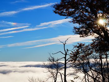 Urlaub in Nordhessen - die Grimmheimat entdecken