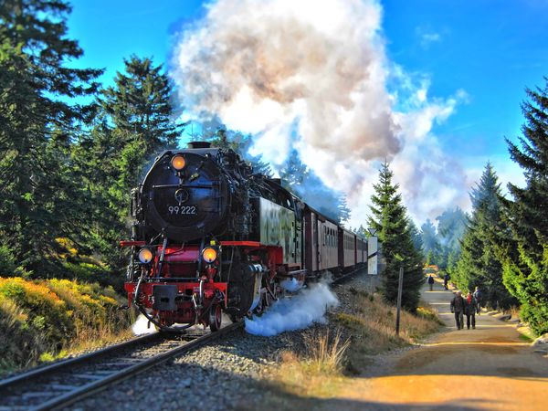 Brockentour inkl. Harzschmalspurbahn Ticket – 3 Tage in Ilsenburg (Harz), Sachsen-Anhalt inkl. Halbpension