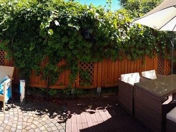 Bild 15 von 21