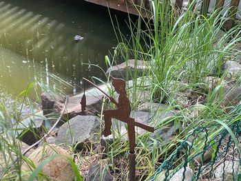Jahresausklang im Harz / 6 Tage