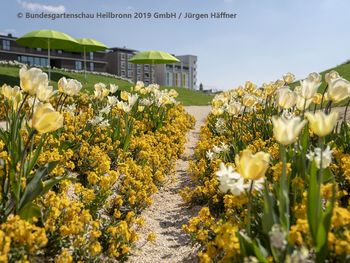Ladies First - Verwöhnmomente in Neckarsulm | 2 Tage
