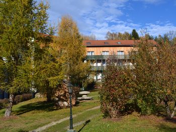 Bild 12 von 18