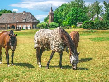 4 Tage Naturerlebnis und Entspannung in Ooij