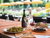 4 Tage Kurzurlaub im Baia Holiday Gasparina