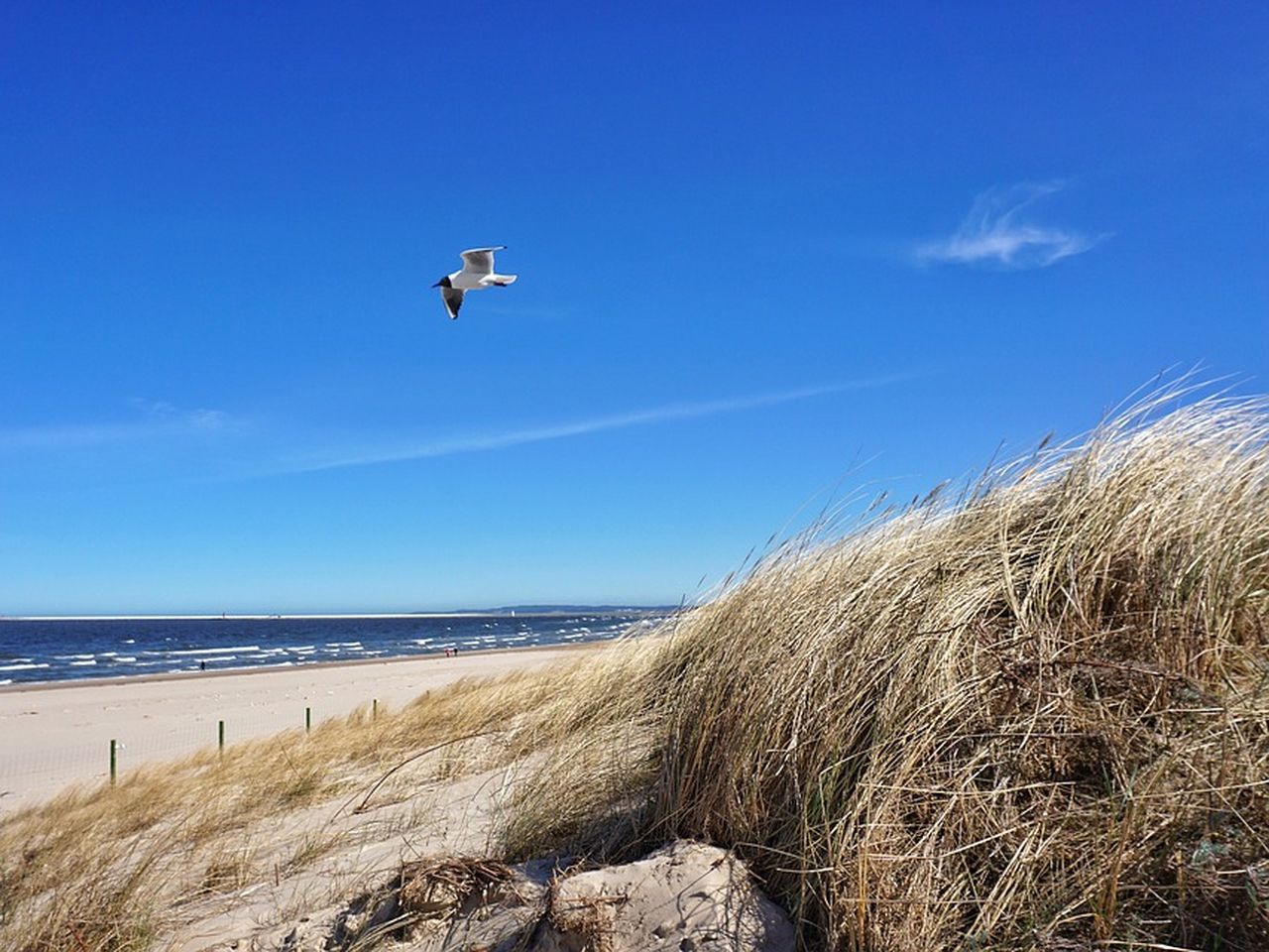 Ostsee pur ~ Ab nach Swinemünde