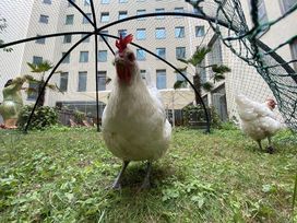 2 Tage Berliner Großstadt Feeling