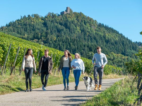 Wandern in 4 Jahreszeiten im Schwarzwald - 5 Tage in Baden-Baden Halbpension