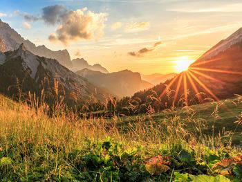 Natur pur in den Kitzbüheler Alpen - 8 Tage