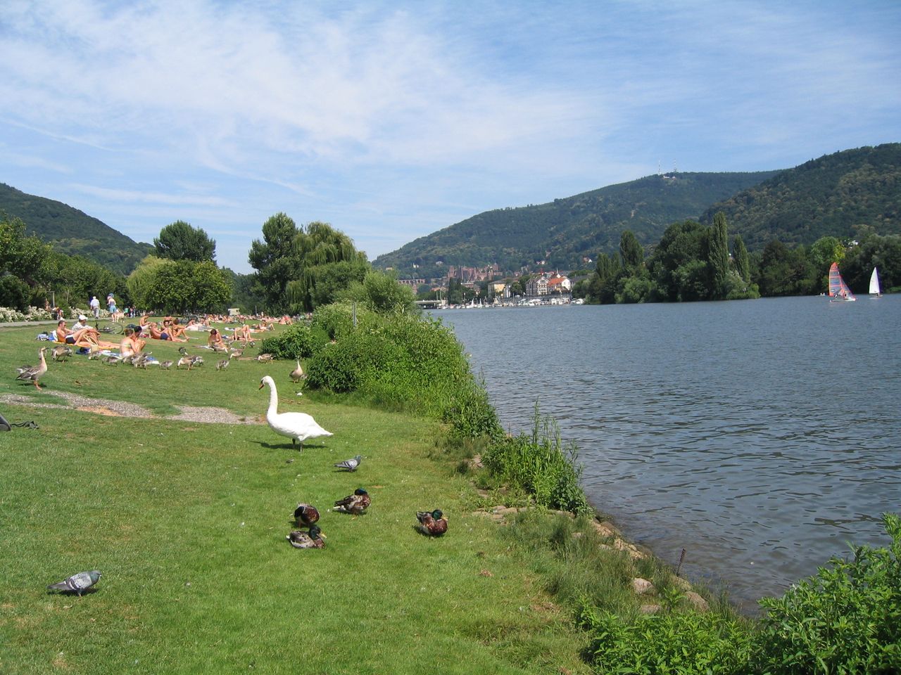 3 Tage Heidelberg für frisch Verliebte und Romantiker