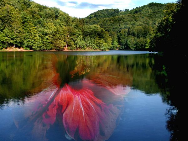 Eine traumhafte Woche am Rennsteig in Schwarzatal Halbpension Plus