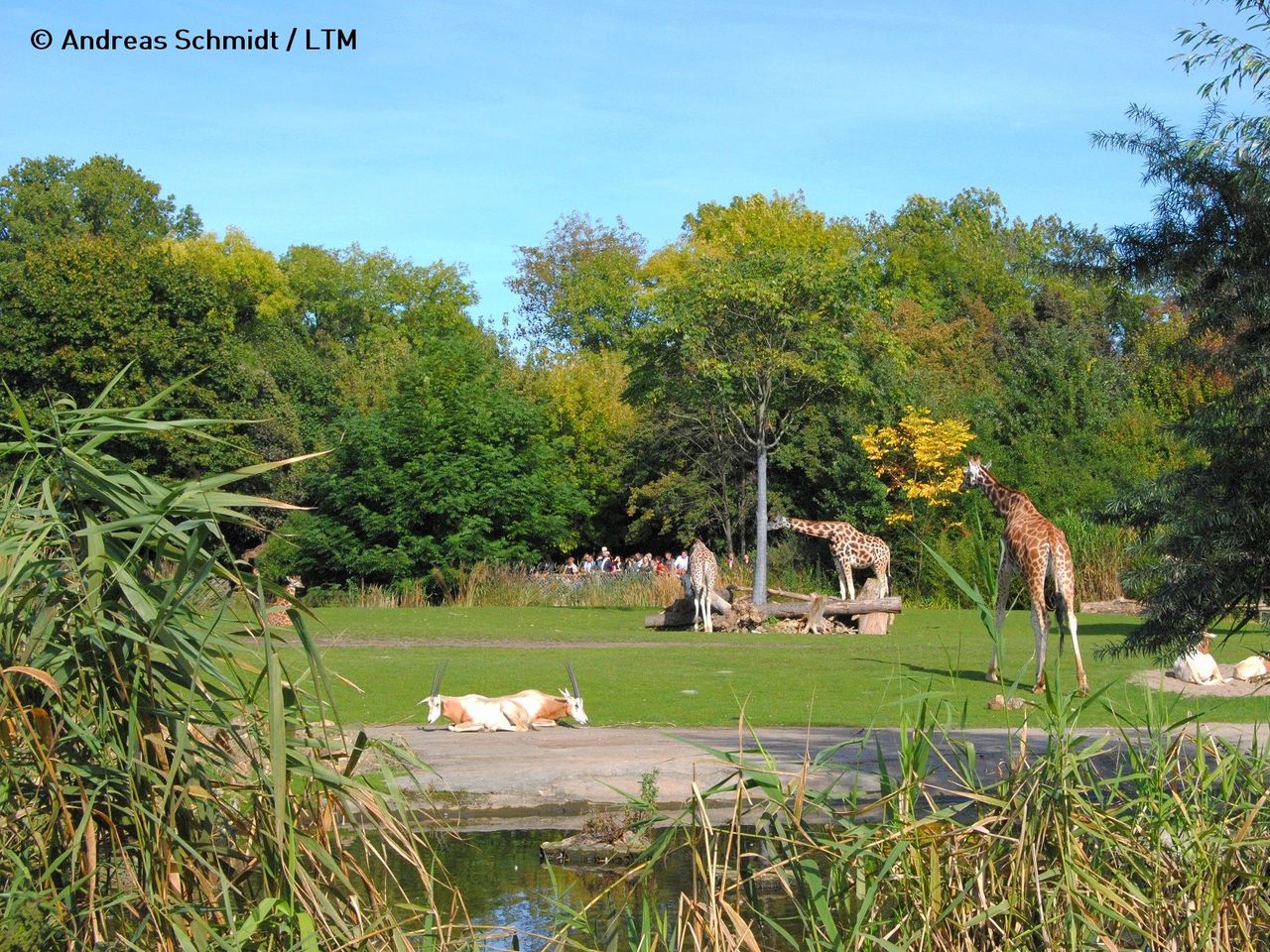 LOGINN & enjoy @ Zoo Leipzig! 4 Tage Tierischer Spaß