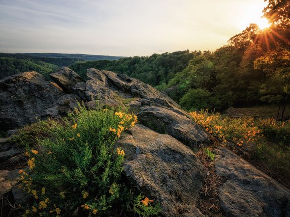 4 Tage den Harz pur erleben!
