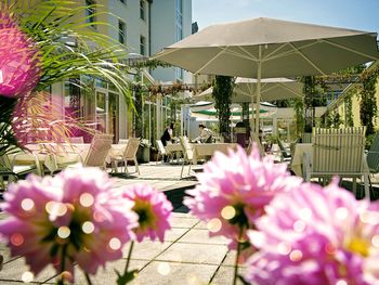 Therme Euskirchen – Entspannung pur mit Südseefeeling