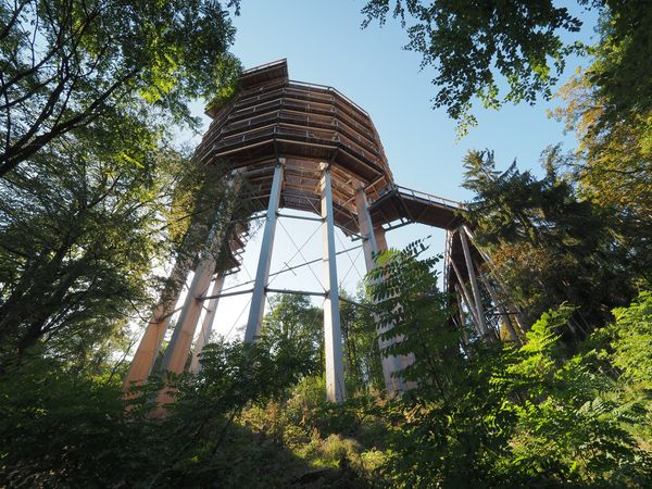 3 Tage Saarland erkunden mit Baumwipfelpfad in Saarlouis Frühstück