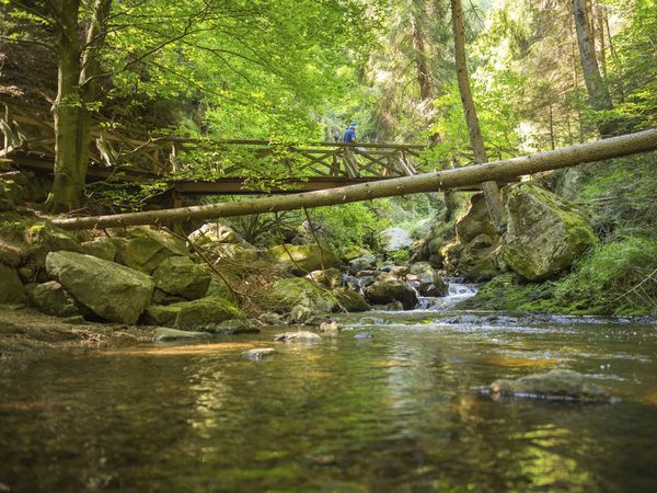 2 Tage Frühlingstage im Hofgut Sternen  in  in Breitnau, Baden-Württemberg inkl. Frühstück