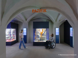 Meeresmuseum Stralsund mit Ticket und Hotel