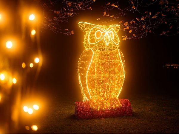 2 Tage-Kurztrip – Winterzauber im Freizeitpark in Lichtenau (Sachsen) Halbpension