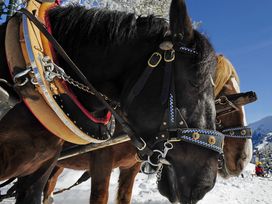 Wellness Kuschelzeit zwischen Schloss und Bodensee