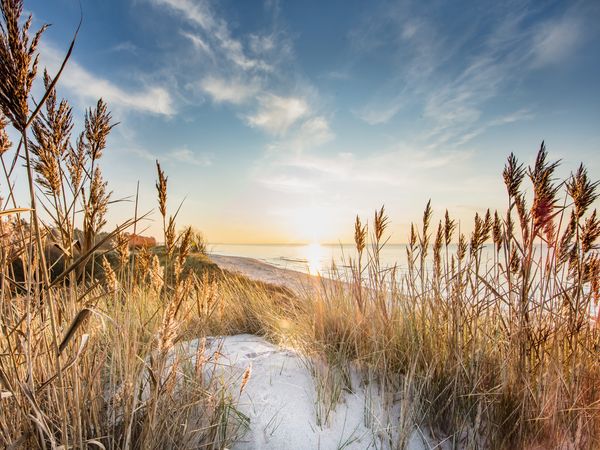 4 Tage Herbstauszeit auf Rügen inkl. 1x 3-Gang Menü in Trent, Mecklenburg-Vorpommern inkl. Halbpension