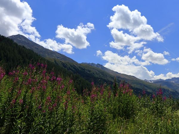 6 Tage Entspannung in den Tiroler Alpen in Seefeld in Tirol inkl. Frühstück